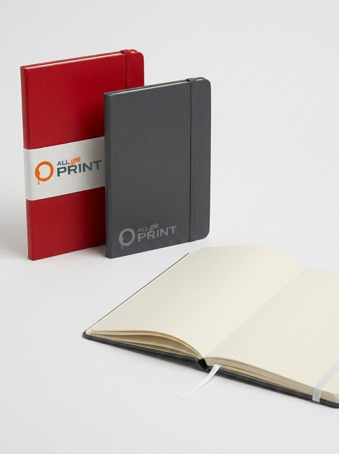 AYP - Moleskine Notizbücher Hardcover