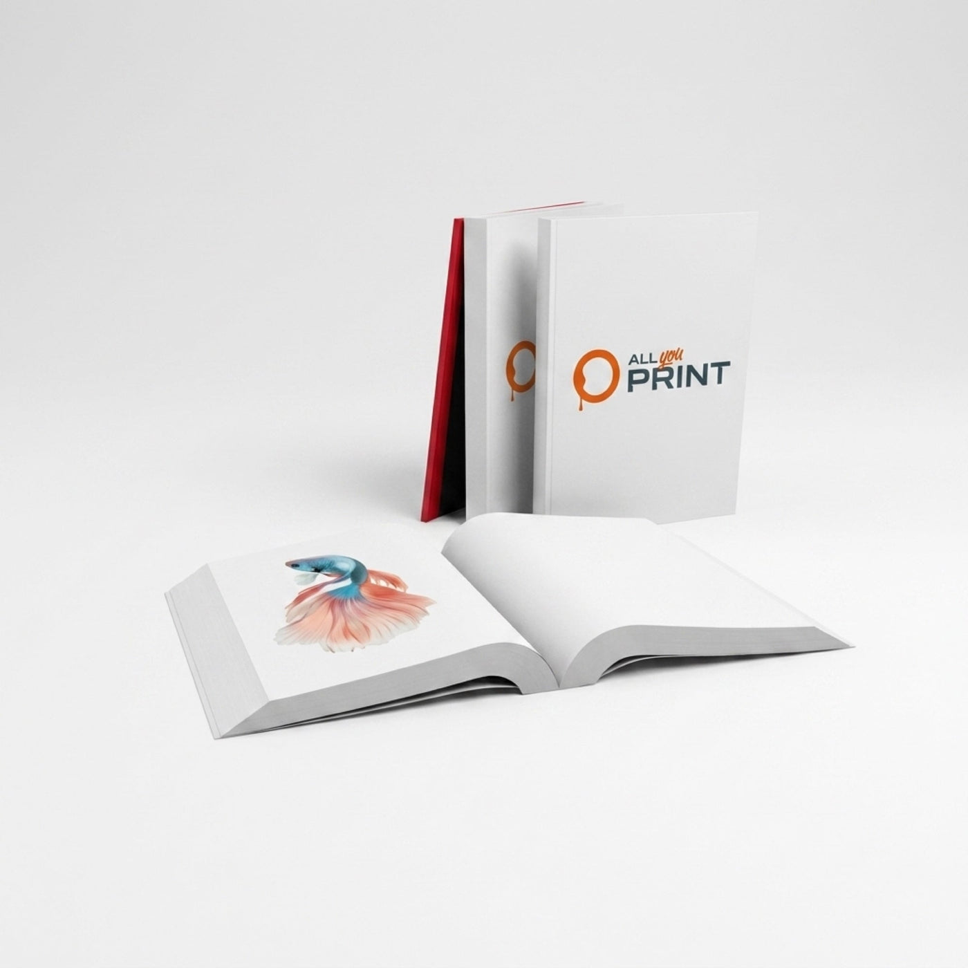 AYP - Bücher Softcover (Offsetdruck)