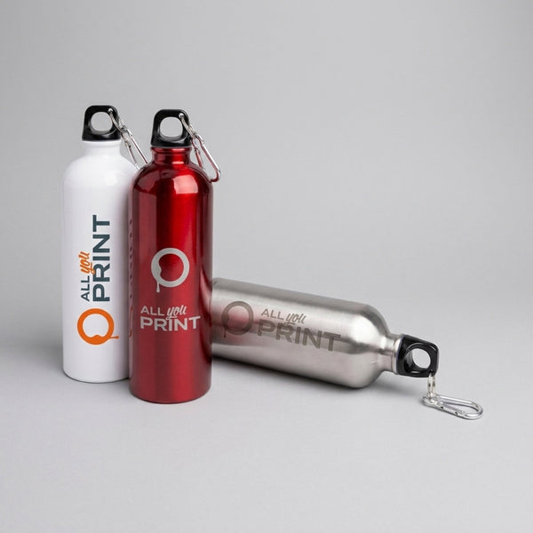 Bouteilles en acier inoxydable avec mousqueton