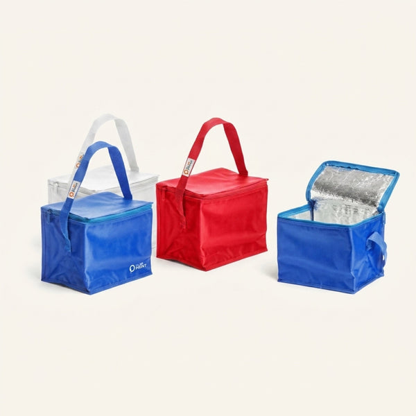 Echantillon mini sacs isothermes