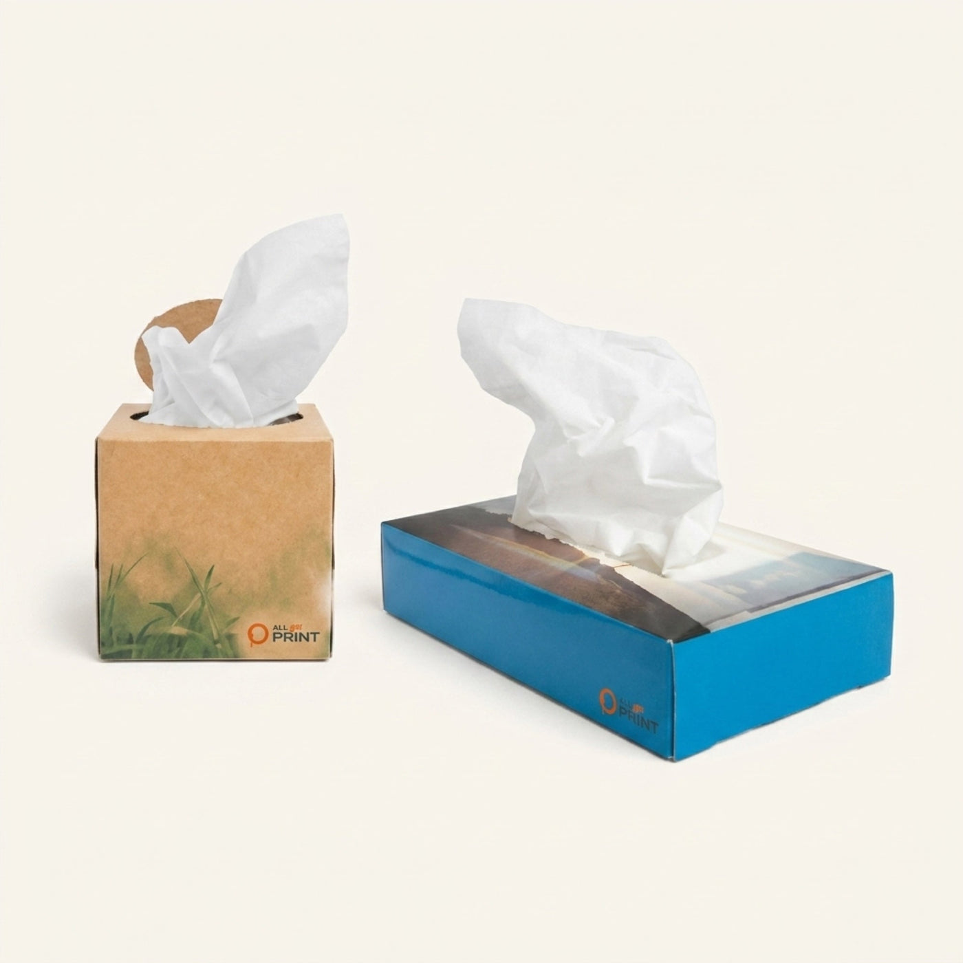AYP - Muster Taschentuchbox