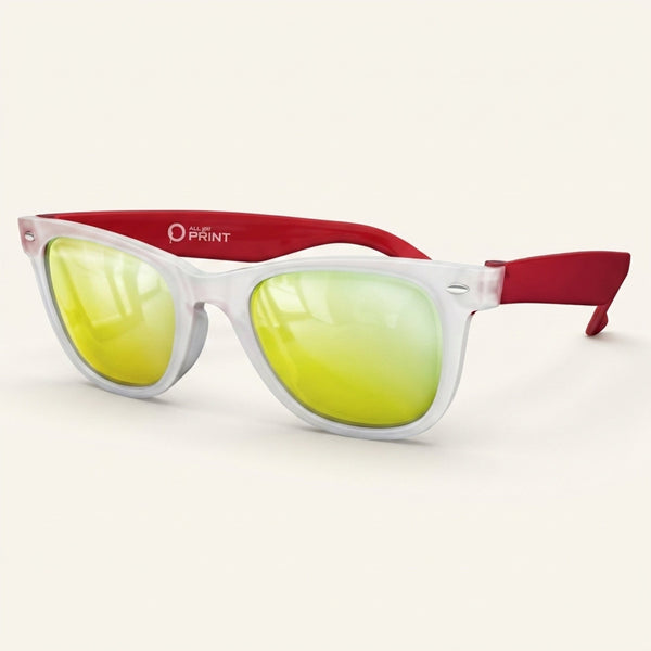Lunettes de soleil givrees