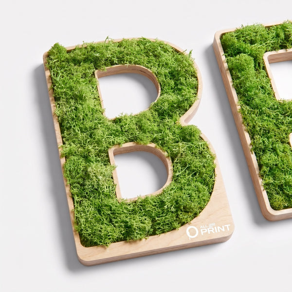 Lettres individuelles en mousse